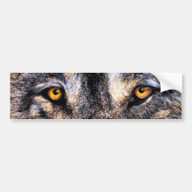 Wolf-Augen Autosticker