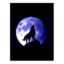 Wolf, der am Mond heult Postkarten