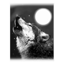 Wolf, der am Mond heult Postkarten