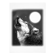 Wolf, der an der Mond-Einladung heult