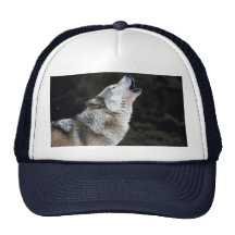 WOLF-FOTOGRAFIE-HUT RETROKULTKAPPE