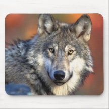Wolf-Fotografie Mousepads