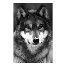 Wolf Individuelles Büropapier