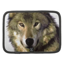 Wolf-Porträt Mappen