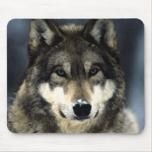 Wolf-Porträt Mousepads
