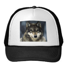 Wolf Retrokultmütze