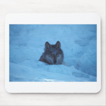 Wolf stehend im Schnee Mousepad