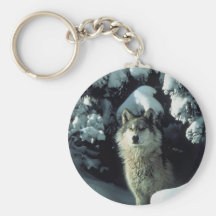 Wolf stehend im Schnee Schlüsselbänder