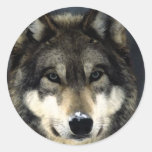Wolf Sticker