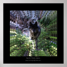 WOLF TRÄUMT Kunst-Plakat