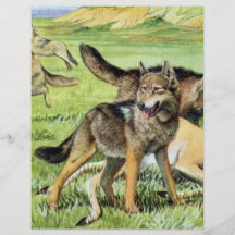 Wolf und Kojote Flyerdruck