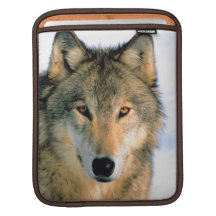 Wolfnatur Rikscha iPod/Laptopkasten iPad Sleeve