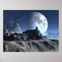 Wolfy Plakat