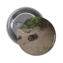 Wombat Button