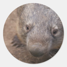 Wombat Kuss Runder Sticker