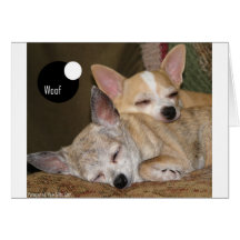 woof-Ladybug-Snickers.jpg Grußkarten