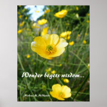 Wunder Plakate