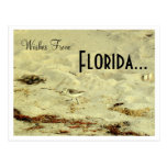 Wünsche von, Florida… Postkarte