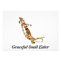 Würdevoller Schnecke-Esser Einladungen