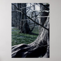 Wurzel Plakatdrucke