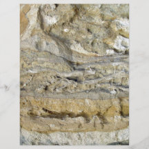 Wurzelfossilien im Kalkstein-Uferdamm Vollfarbige Flyer