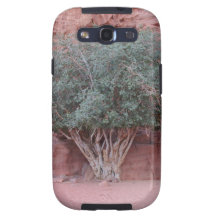 Wüsten-Bäume Galaxy S3 Etui