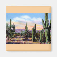 Wüsten-Szene Arizonas Sonoran Magnete