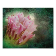 Wüstenblüte Foto Druck