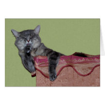 Xena Chillin Karte