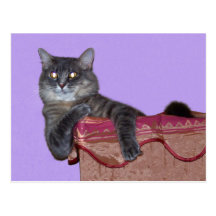 Xena Chillin Postkarte