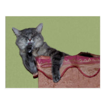 Xena Chillin Postkarte