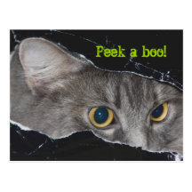 Xena Peekaboo Postkarte - besonders angefertigt