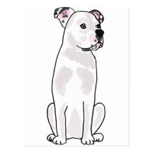 XX niedliche amerikanische Bulldogge mit verzierte Postkarten