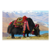 YakBos Grunniens nahe Yamdrok See Tibet Personalisierte Büropapiere