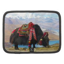 YakBos Grunniens nahe Yamdrok See Tibet Folio Planer