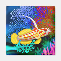 Yasha Hase Garnelegoby-Fisch-Magnet Magnete