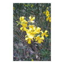 Yello Personalized Stationery