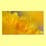 yellow Flower visitenkarten