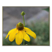 YellowFlower Fotodruck