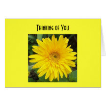 yellowgerberdaisy, denkend an Sie Karte