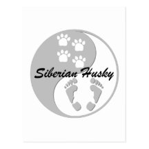 yin Yang-sibirischer Husky Postkarte