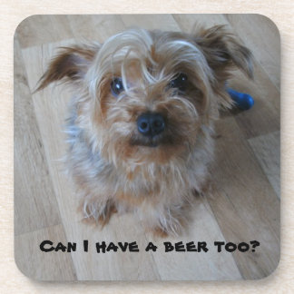 Pictures Of Bier Yorkies | pictures of bier yorkies pictures of bier yorkies die bier Pictures Of Bier Yorkies | pictures of bier yorkies pictures of bier yorkies die bier