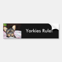 Yorkie Hündchen-Liebhaber-Geschenke Autoaufkleber