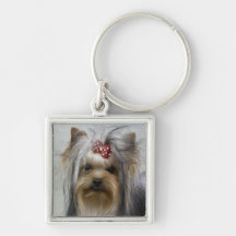 Yorkie Keychain Schlüsselanhänger