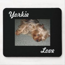 yorkie Liebe