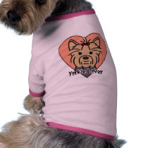 Yorkie Liebhaber