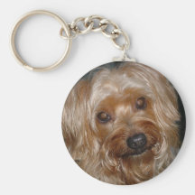 Yorkie Schlüsselbänder
