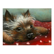 Yorkie und Herzen Postkarten