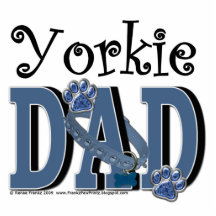 Yorkie VATI Fotostatue