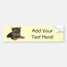 Yorkie Welpe Auto Sticker